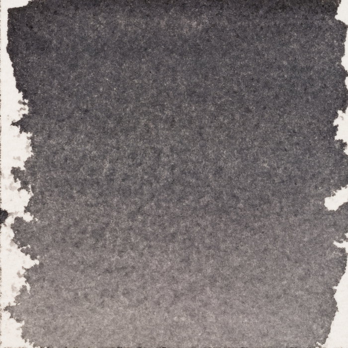 Talens | Pantone Encre pour marqueur Cool Gray 10, 30 ml