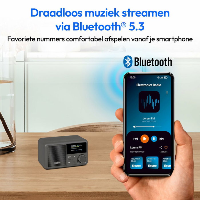 Medion Mini Radio DAB/FM Gris
