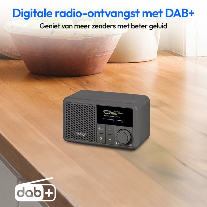 Medion Mini Radio DAB/FM Gris