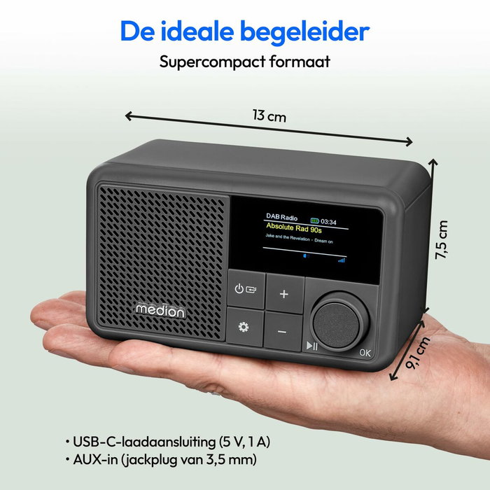 Medion Mini Radio DAB/FM Gris