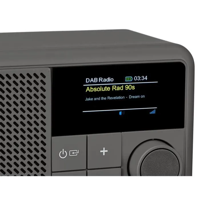 Medion Radio Bluetooth DAB+ FM Portable avec Écran Couleur TFT 1.47", Protection IPX1, Batterie, 40 Stations, Égaliseur, Alarme - Gris