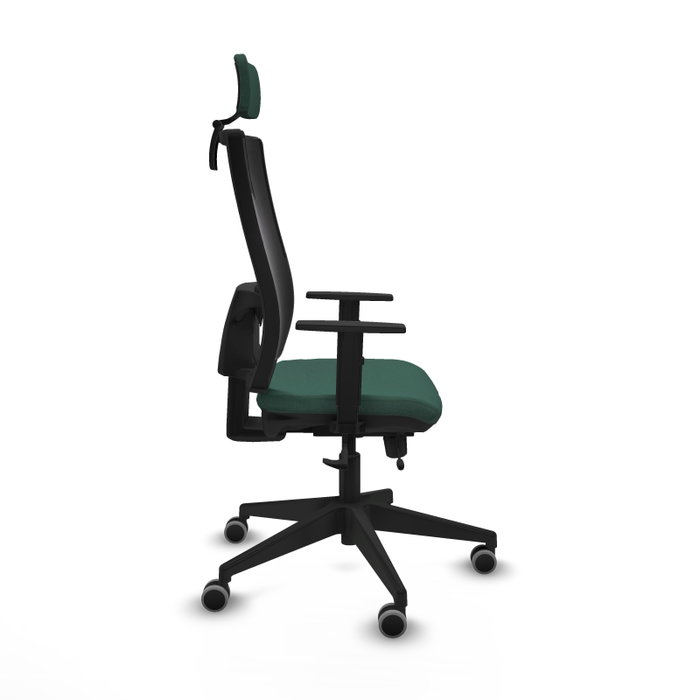 Piqueras y Crespo Chaise de Bureau Horna avec Appui-tête 2D et Mécanisme Sincro/Traslack, Vert Bouteille Piqueras y Crespo Chaise de Bureau Horna avec Appui-tête 2D et Mécanisme Sincro/Traslack, Vert Bouteille
