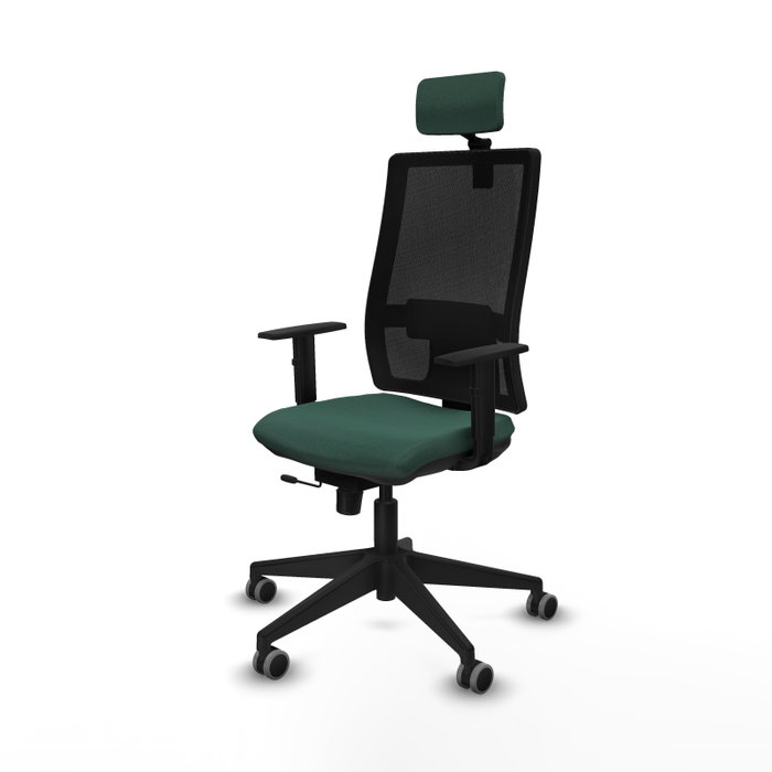 Piqueras y Crespo Chaise de Bureau Horna avec Appui-tête 2D et Mécanisme Sincro/Traslack, Vert Bouteille Piqueras y Crespo Chaise de Bureau Horna avec Appui-tête 2D et Mécanisme Sincro/Traslack, Vert Bouteille