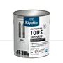 Ripolin - Peinture multi-supports Blanc Mat 2L - Pour bois, métal, béton, PVC - Résiste aux UV et intempéries