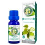 MARNYS Huile Essentielle de Ravintsara BIO 10 ml