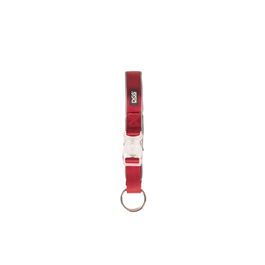 Collier pour Chien Dog Gone Smart Rouge 12 Lumière
