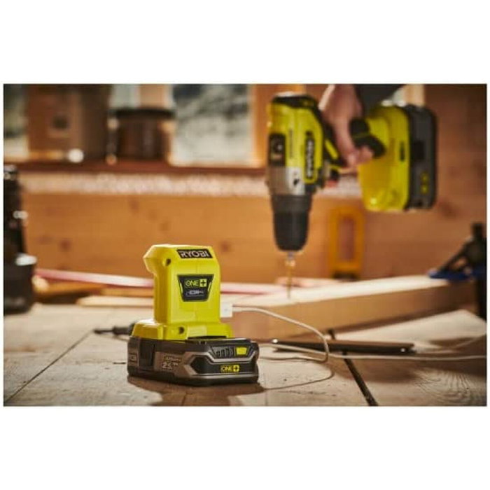 Ryobi R18USB Chargeur USB ONE+ 18V avec 2 ports