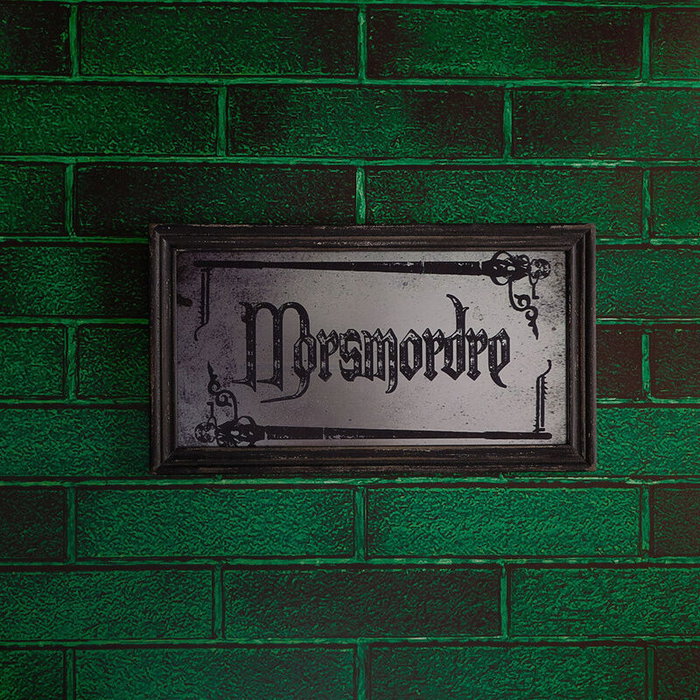 WIDDOP & CO - Plaque miroir décorative Dark Arts Harry Potter, en bois avec finition brillante et deux patères pour mur