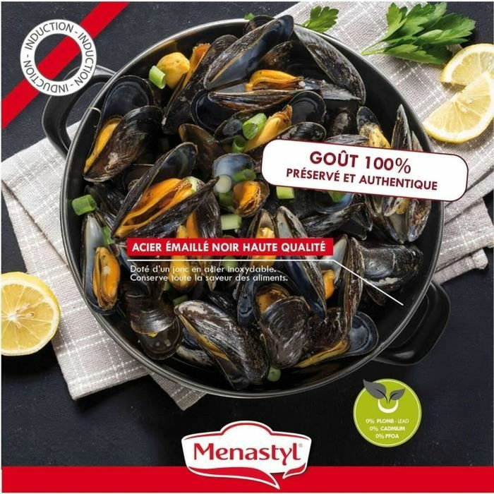 Menastyl Marmite à Moules en Acier Émaillé Noir 2,7 L 18 cm