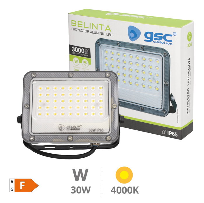GSC Evolution Projecteur LED Belinta 30W 4000K Noir GSC Evolution Projecteur LED Belinta 30W 4000K Noir