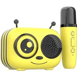CGV Kit Karaoké - Enceinte Bluetooth avec Micro Sans Fil, Effets Vocaux Magiques, Autonomie 8h, Recharge USB