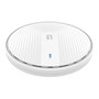 Point d'Accès Level One WAP-8131 Blanc