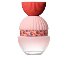 El Ganso FUN & CHIC Eau de Parfum Vapo 100 ml