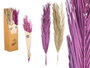 Giftdecor Ramillete Hojas Palmera Surt Morado Y Naturel 26x100x4 cm Matière Végétale Séchée Lavande Vert (Set de 20)