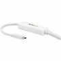 Startech Adaptateur USB C vers DisplayPort CDP2DPMM3MW 3 m Blanc