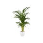 Elho Pot de fleur BRUSSELS rond - Ø 24,3 x H 23,2 cm - Blanc