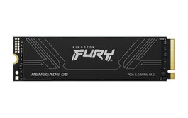 Kingston Fury Renegade G5 SSD 1 To M.2 2280 PCIe 5.0