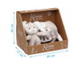 KioKids Peluche Osito Spiral Beige Jouet d'Éveil avec Boîte - Sonnette, Mordedor et Étoile - Collection Dolci Amici pour Bébé à partir de 0 Mois
