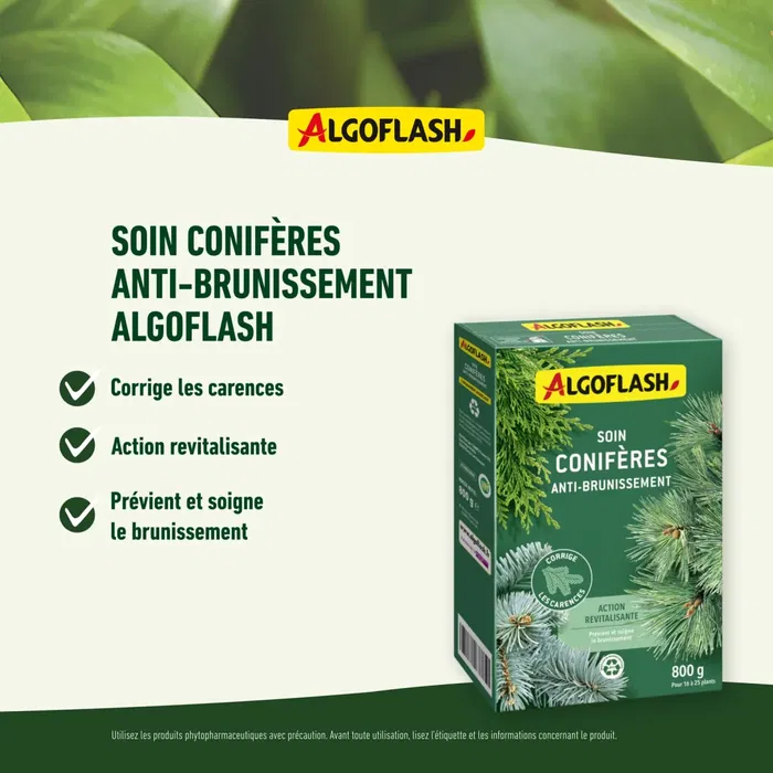 Algoflash Soin Conifères Anti-Brunissement 800 g - Traitement Préventif et Curatif pour Arbres à Aiguilles
