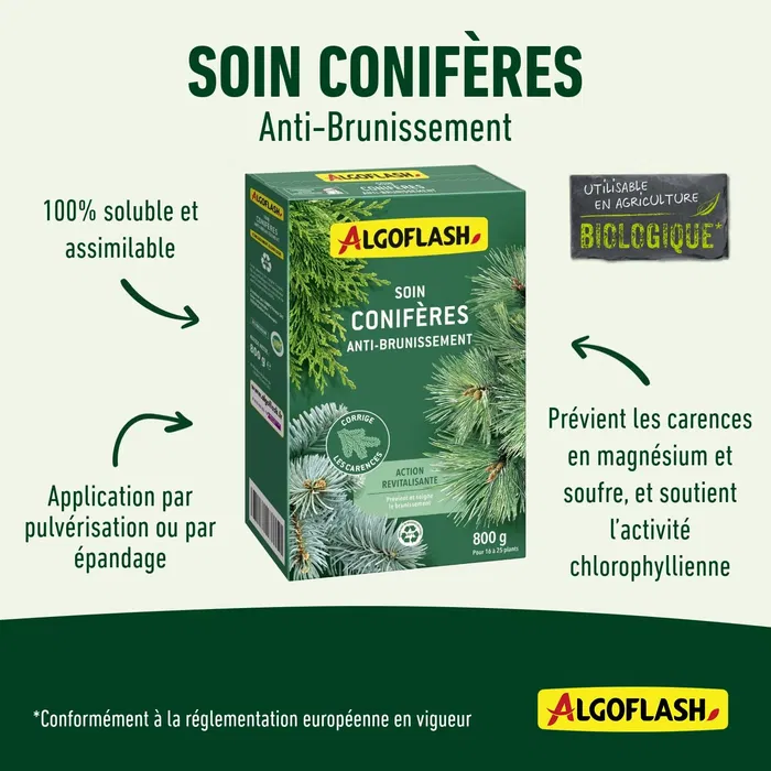 Algoflash Soin Conifères Anti-Brunissement 800 g - Traitement Préventif et Curatif pour Arbres à Aiguilles