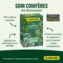 Algoflash Soin Conifères Anti-Brunissement 800 g - Traitement Préventif et Curatif pour Arbres à Aiguilles