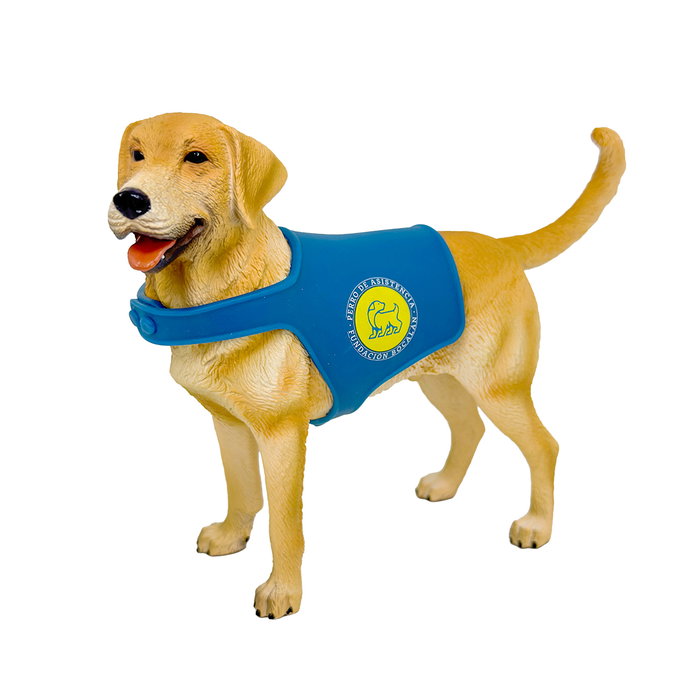 DEQUBE Labrador Retriever Canela avec Gilet Bocalán DEQUBE Labrador Retriever Canela avec Gilet Bocalán