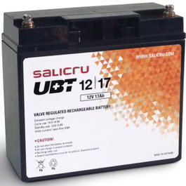 Salicru Batterie AGM 17Ah 12V compatible SAI/UPS