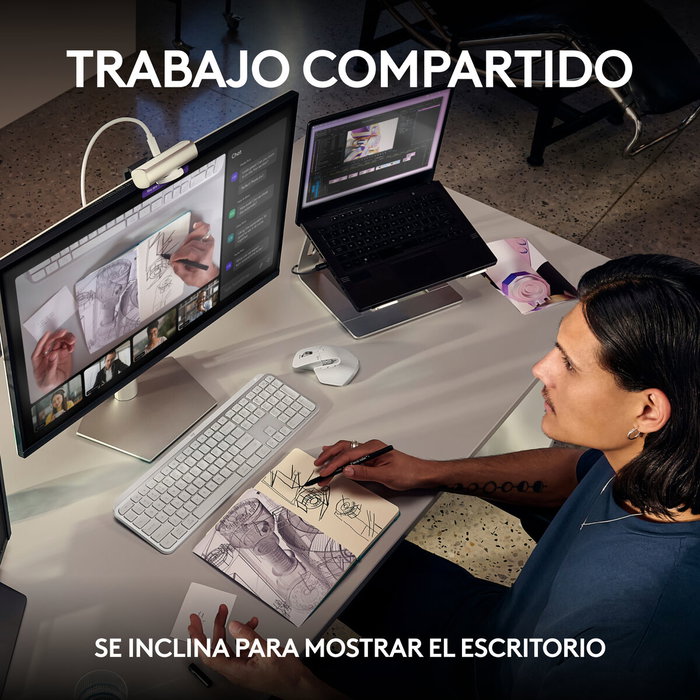 Webcam Logitech 960-001554