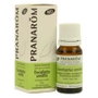 PRANAROM ACEITES Eucalyptus smithii Hoja Huile Essentielle BIO 10ml