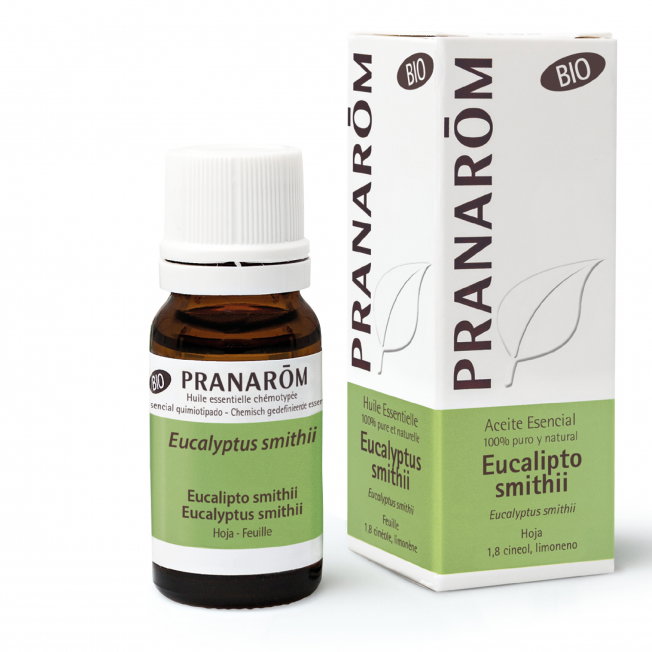 PRANAROM ACEITES Eucalyptus smithii Hoja Huile Essentielle BIO 10ml PRANAROM ACEITES Eucalyptus smithii Hoja Huile Essentielle BIO 10ml