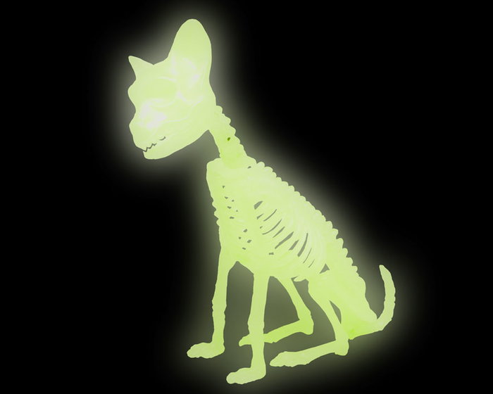 Chat Squelette Décoration Halloween Brille dans l'Obscurité