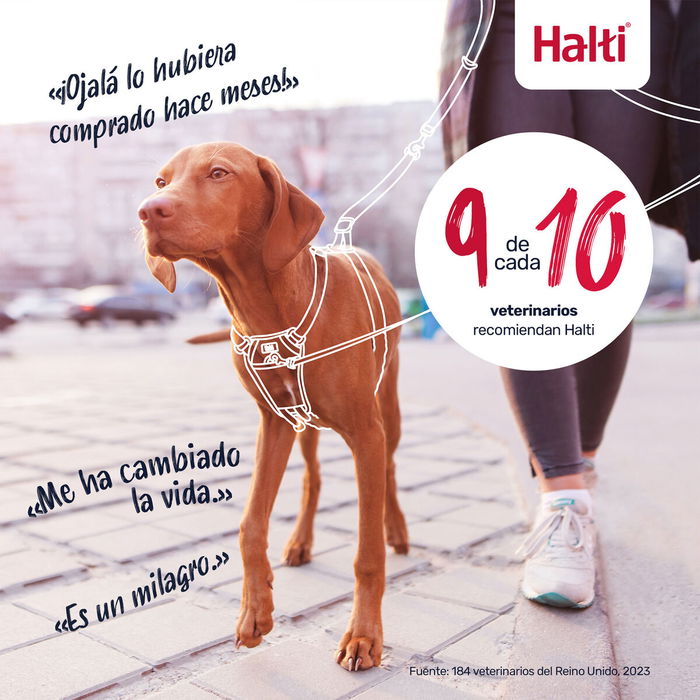 Harnais pour Chien Company of Animals FOREST Vert 12