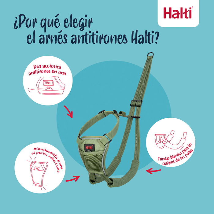 Harnais pour Chien Company of Animals FOREST Vert 12