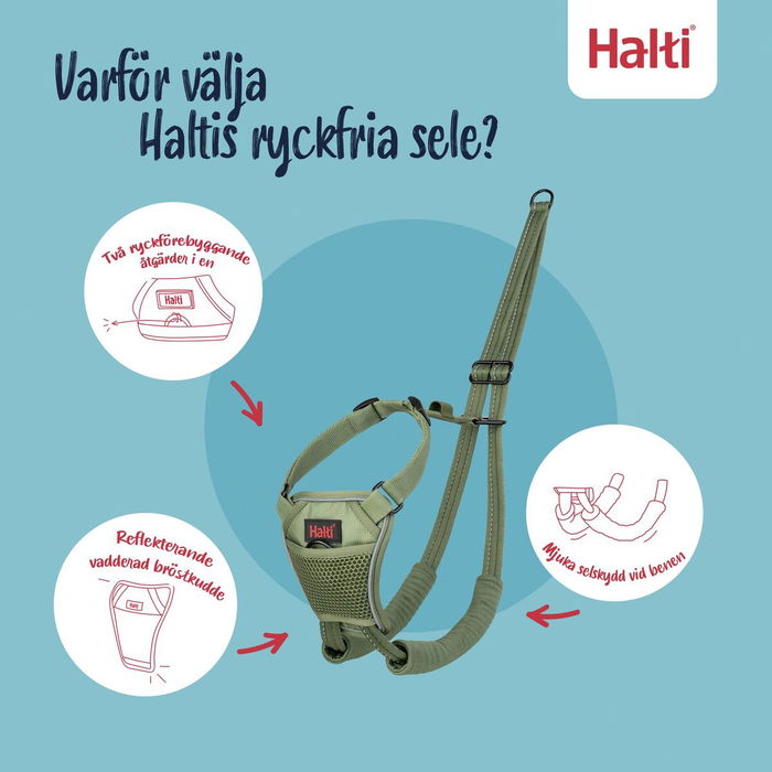 Harnais pour Chien Company of Animals FOREST Vert 12