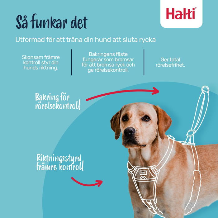 Harnais pour Chien Company of Animals FOREST Vert 12