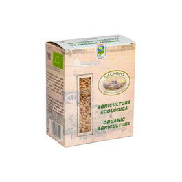 CACHOPO Lentilles Vertes Castellanes 1kg Bio - Alimentaire Écologique