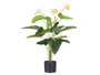 Ibergarden Maceta Flor Flamingo 90 cm 95x50x50 cm Plastique Couleurs Assorties (Set de 6)