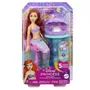 Disney Princess Coffret Ariel Secrets De Perle - Poupée 2 en 1 avec Nageoire Amovible, Chaise, Coiffeuse et 5 Surprises - Pour Enfants 3 ans et + - JBF86