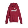 Sweat à capuche enfant Puma Ess Marron