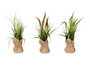 Ibergarden Planta Saco Grande Junco Couleurs Assorties 13x46x13 cm (Set de 12)