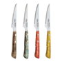 Ensemble de couteaux à viande San Ignacio Evergreen BGEU-6076 Acier inoxydable