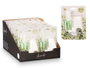 Arte Regal Diffuseur électrique parfum Jasmin 20 ml Blanc 5x12x9 cm (Set de 24)