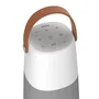 ION Bright Max Ion Enceinte Bluetooth 5.0 60W, Sons 360° LED Multicolore IPX5