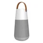 ION Bright Max Ion Enceinte Bluetooth 5.0 60W, Sons 360° LED Multicolore IPX5