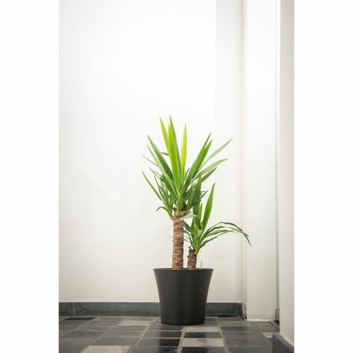 Garden ID Pot de fleurs Green Care Sense Noir-Anthracite 30 x 27 cm Garden ID Pot de fleurs Green Care Sense Noir-Anthracite 30 x 27 cm