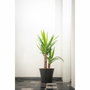 Garden ID Pot de fleurs Green Care Sense Noir-Anthracite 30 x 27 cm