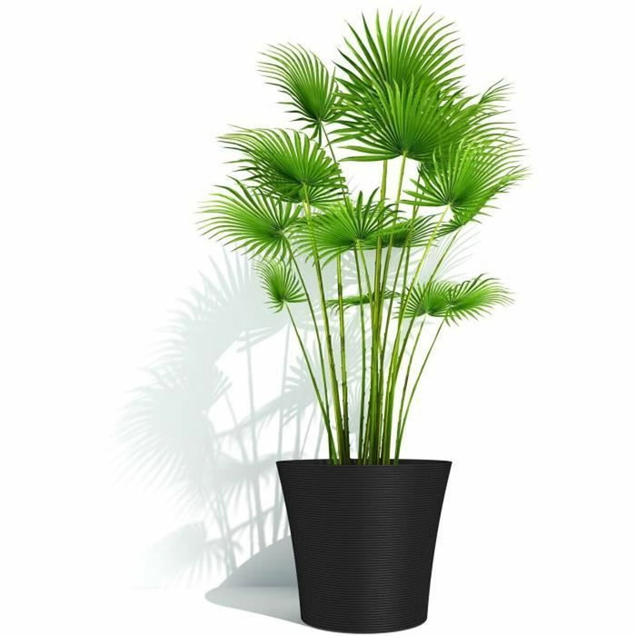 Garden ID Pot de fleurs Green Care Sense Noir-Anthracite 30 x 27 cm Garden ID Pot de fleurs Green Care Sense Noir-Anthracite 30 x 27 cm
