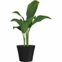 Garden ID Pot de fleurs Green Care Sense Noir-Anthracite 30 x 27 cm