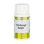 EQUISALUD HOLOFUNGI Reishi 50 capsules