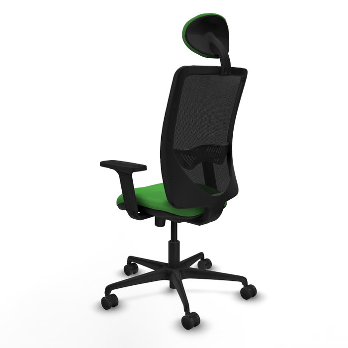 PIQUERAS Y CRESPO Chaise Zulema Synchro Vert et Noir PIQUERAS Y CRESPO Chaise Zulema Synchro Vert et Noir